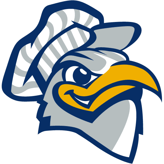 Chattanooga Mocs 2001-2007 Alternate Logo v3 DIY iron on transfer (heat transfer)